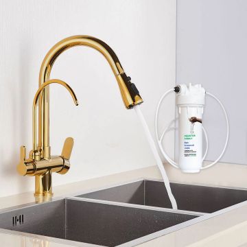 Set Baterie de bucatarie cu 3 cai, auriu lucios, cu 2 functii de curgere si dus extractibil + Filtru de apa Aquator Family