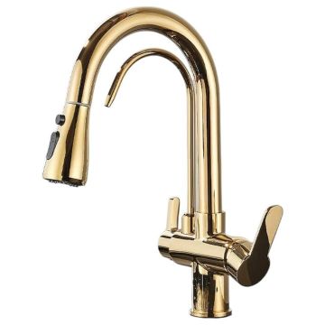 Baterie Chiuveta Bucatarie BisDesign , Functie Apa Filtrata, Dus Extractabil, 3 Functii de Curgere, Finisaj Auriu Lucios, Dimensiune 41 cm